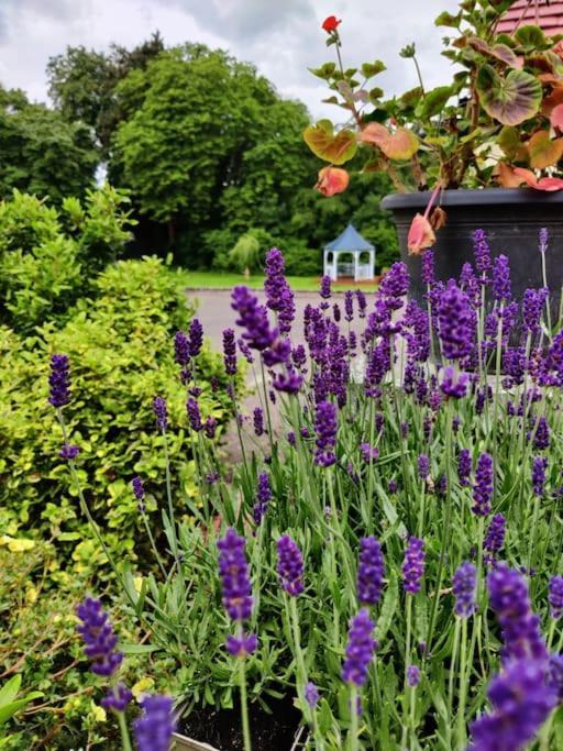 Willa The Nook Located In A Beautiful Garden Setting With Parking Stratford-upon-Avon Zewnętrze zdjęcie